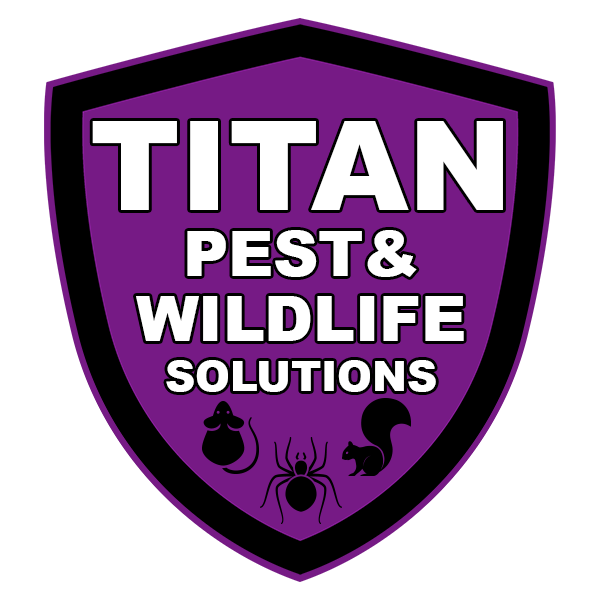 titan-pest-and-wildlife-solutions