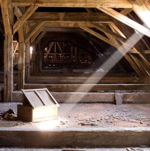 Attic Cleaning St. Louis