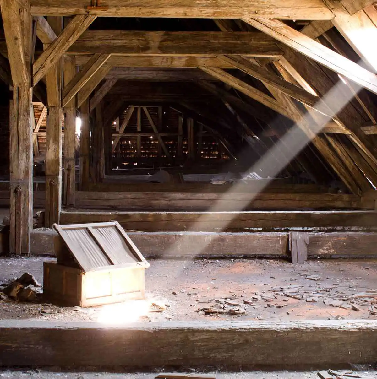 attic cleaning st louis