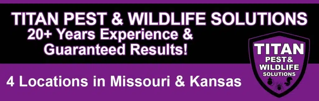 Titan Pest & Wildlife Solutions - 20+ years experience and guaranteed results!