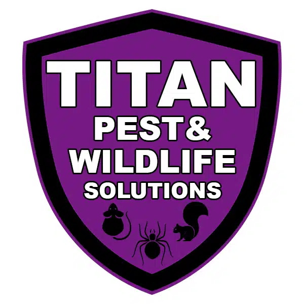 Commercial & Residential Pest and Wildlife Control