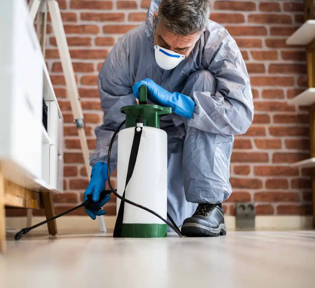 Pest Control Company St. Louis