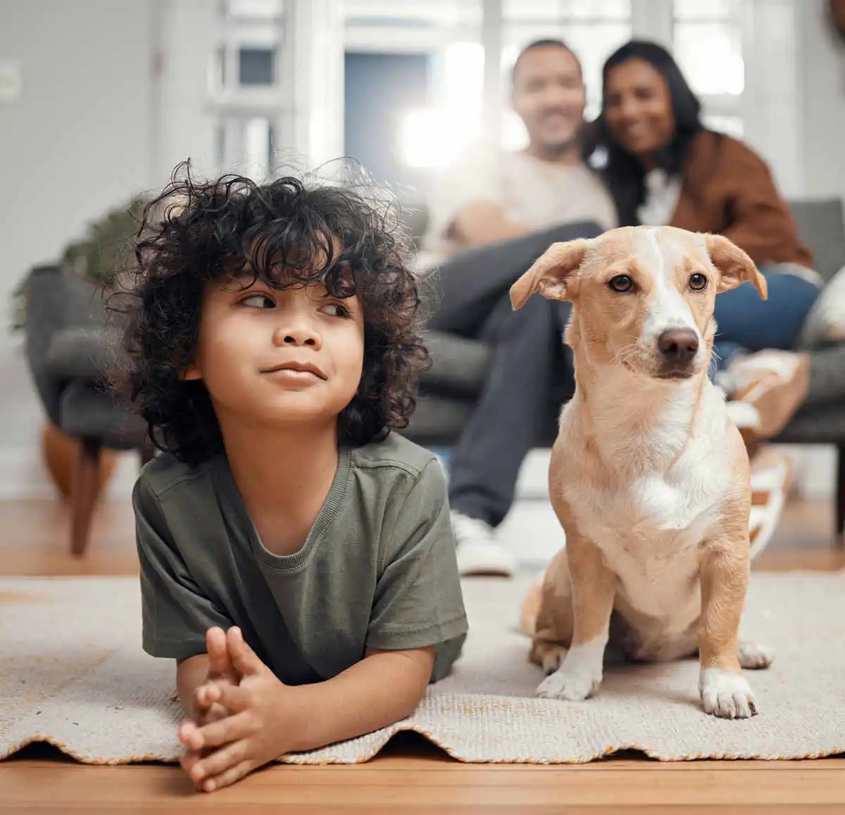 st louis pest control services