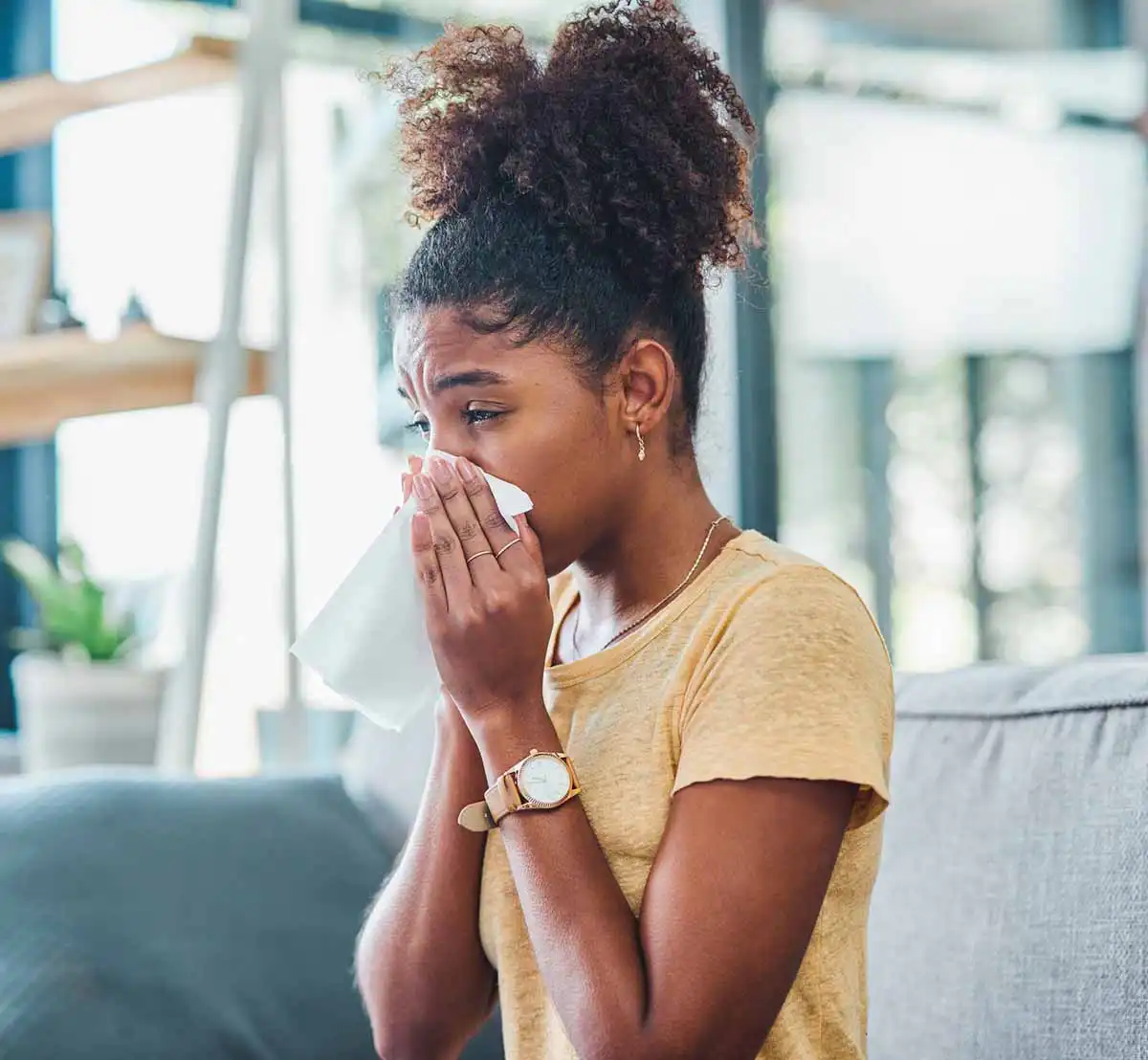 how pest control can reduce allergies