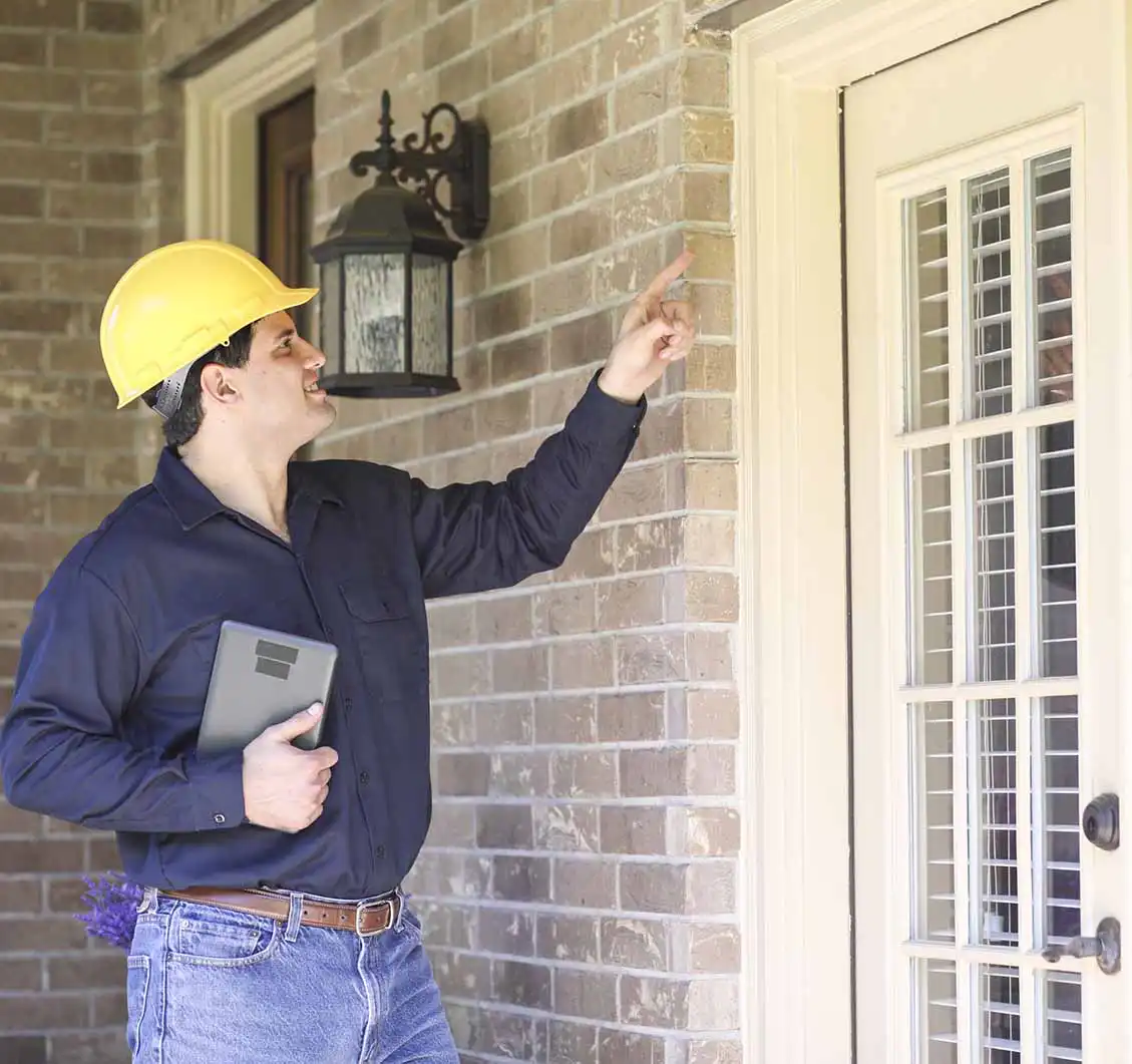 professional home sealing for pests