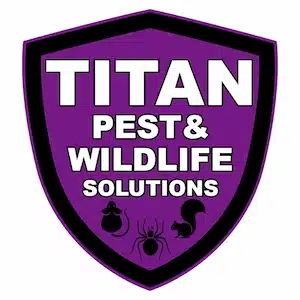 Pest Control St. Louis – Wildlife Removal – Pest Control Near Me