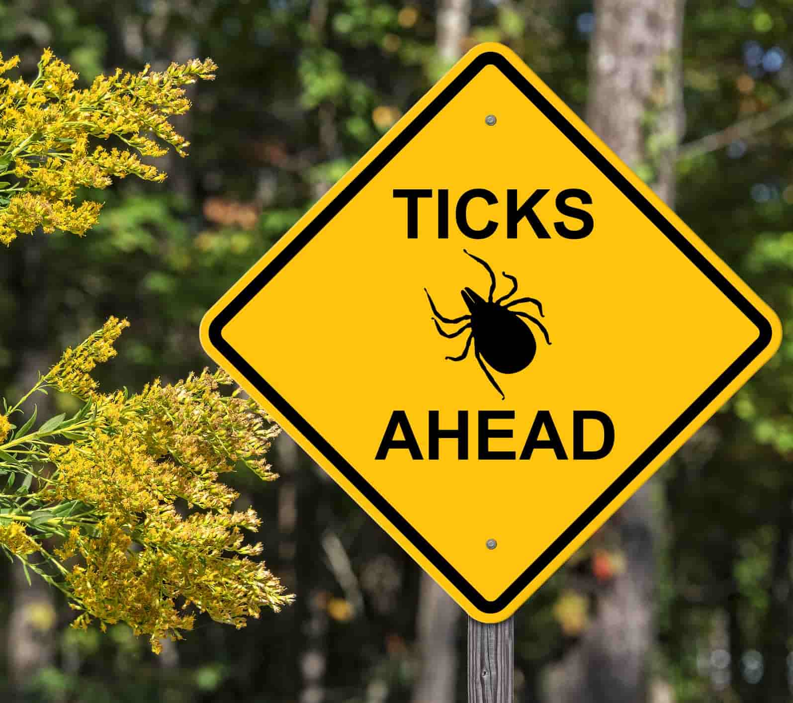 Tick Prevention St. Louis