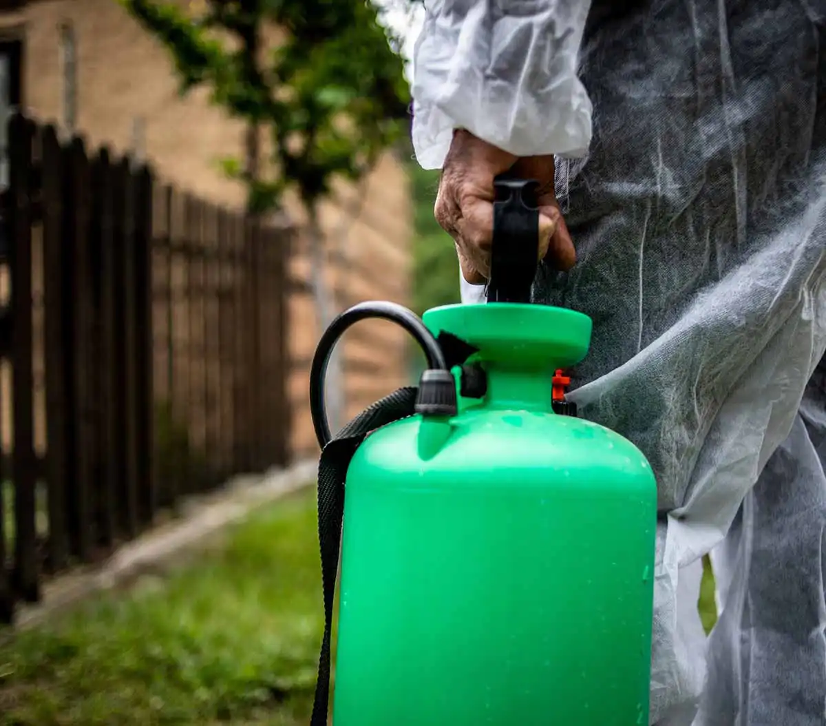 preventtative pest control st louis