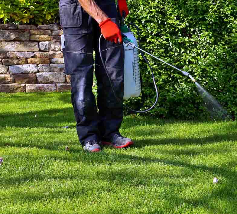 Summer Pest Control Services