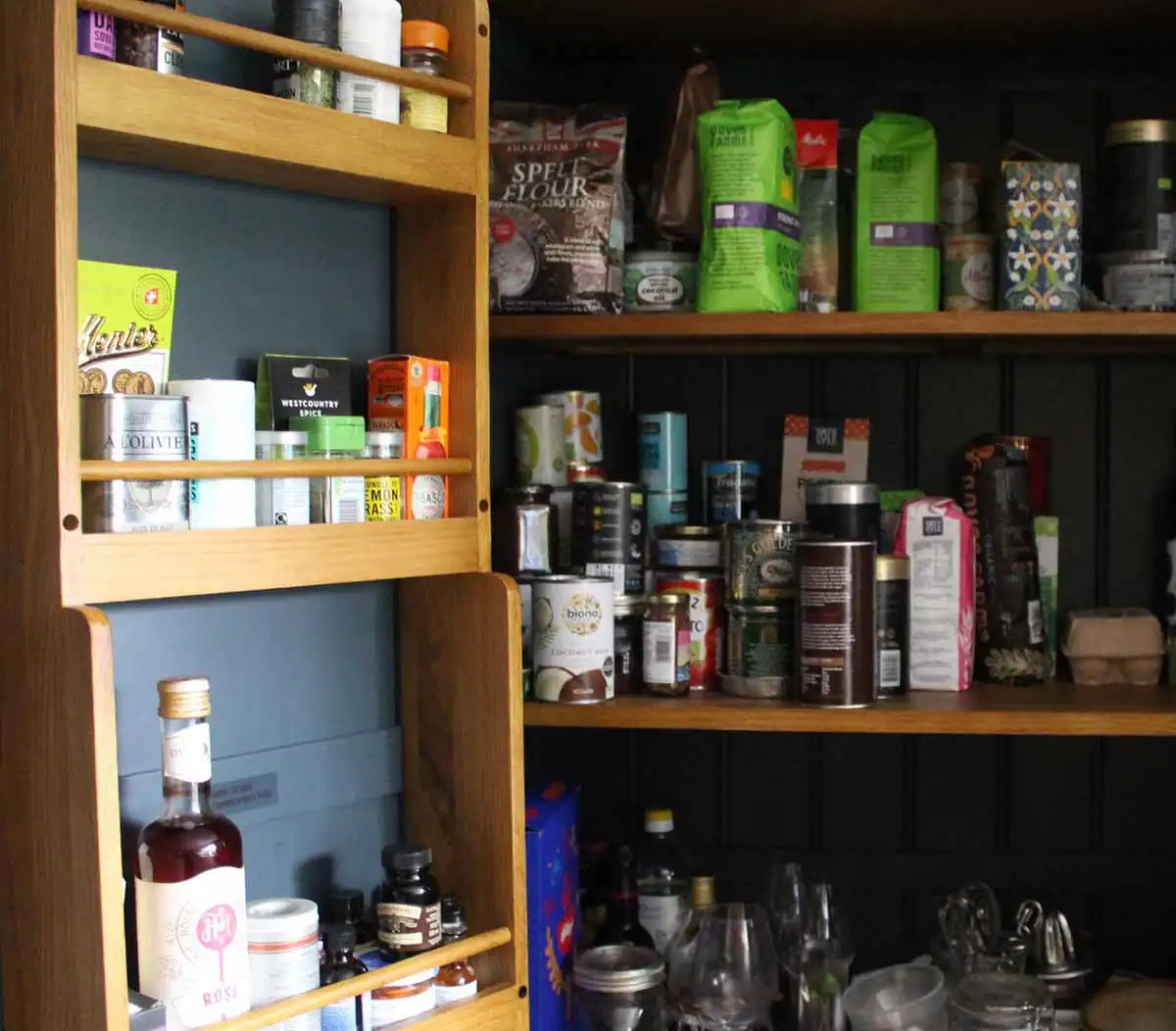 weird bugs in my pantry