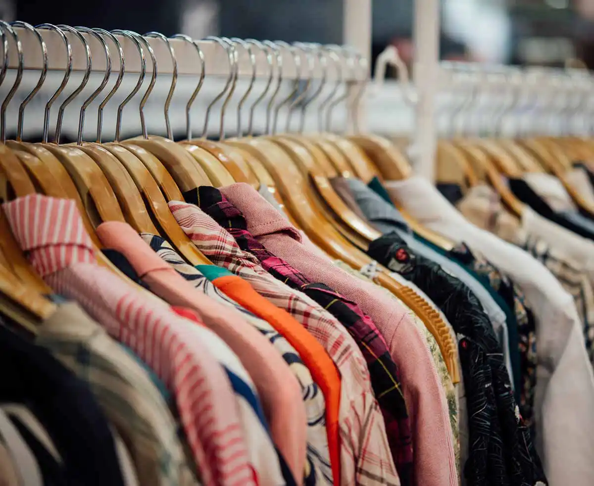 how to protect clothes from bugs