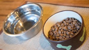 Pet food and water