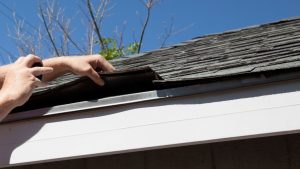 Inspect attic