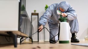 Schedule regular pest inspection