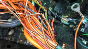 When to Call an Exterminator for Mice in St. Louis, MO