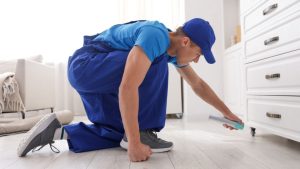 Add regular pest control visits
