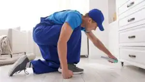 Add regular pest control visits