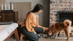 Avoid leaving pet food out