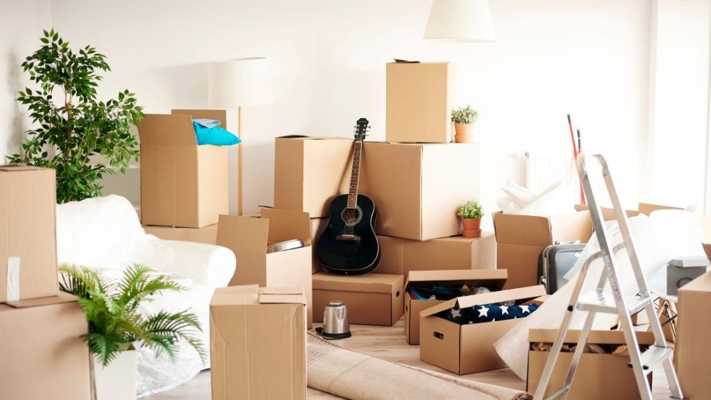 Cut Down Clutter and Nesting Materials