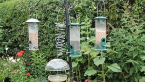 Move Bird Feeders Away From the Garage