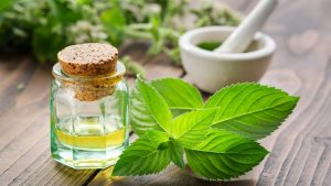 Spearmint Oil