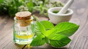 Spearmint Oil