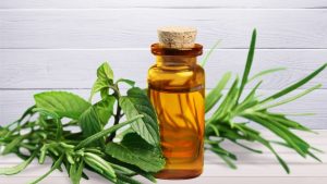 Tea Tree Oil