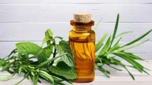 Tea Tree Oil