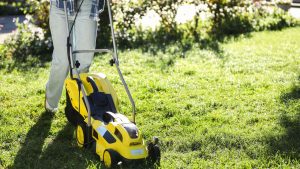 Trim Grass and Clear the Perimeter
