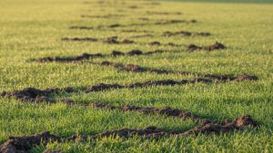Zig-zag tunnels that create uneven ground