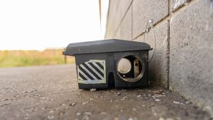 DIY traps