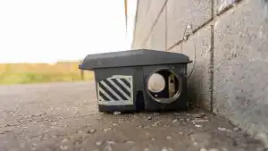 DIY traps