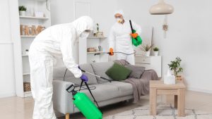 Disinfect Travel Routes and Nest Sites