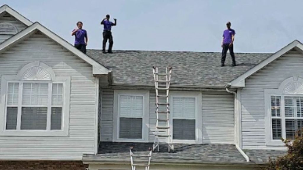Expert Sappington Pest Control