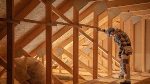 Inspect the Attic Thoroughly