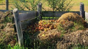 Open Compost Piles
