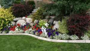 Overgrown Landscaping