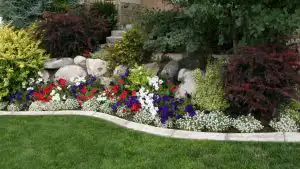 Overgrown Landscaping