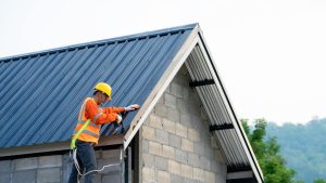 Seal Roofline Gaps and Entry Points