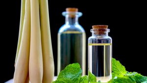 Use Natural Repellent Methods Only as Support