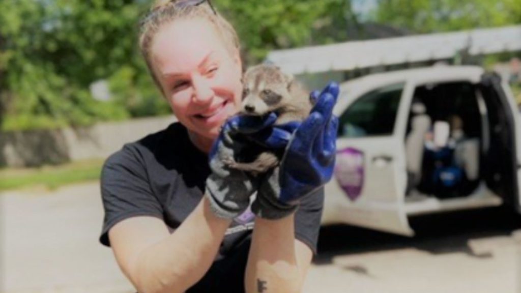 Why You Should Call a Professional Exterminator