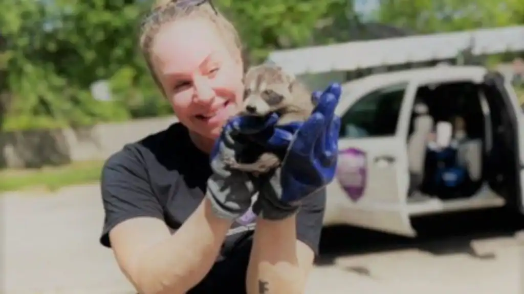 Why You Should Call a Professional Exterminator