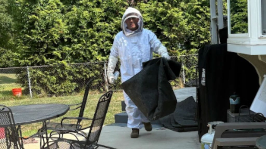 Expert Pest Control Downtown MO