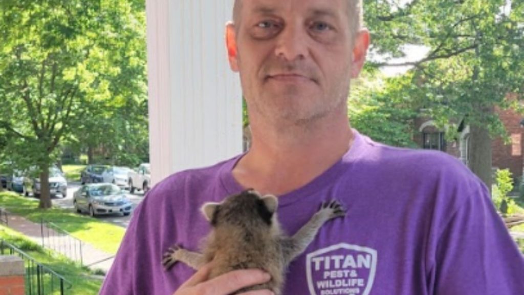 Expert Pest Control Soulard MO