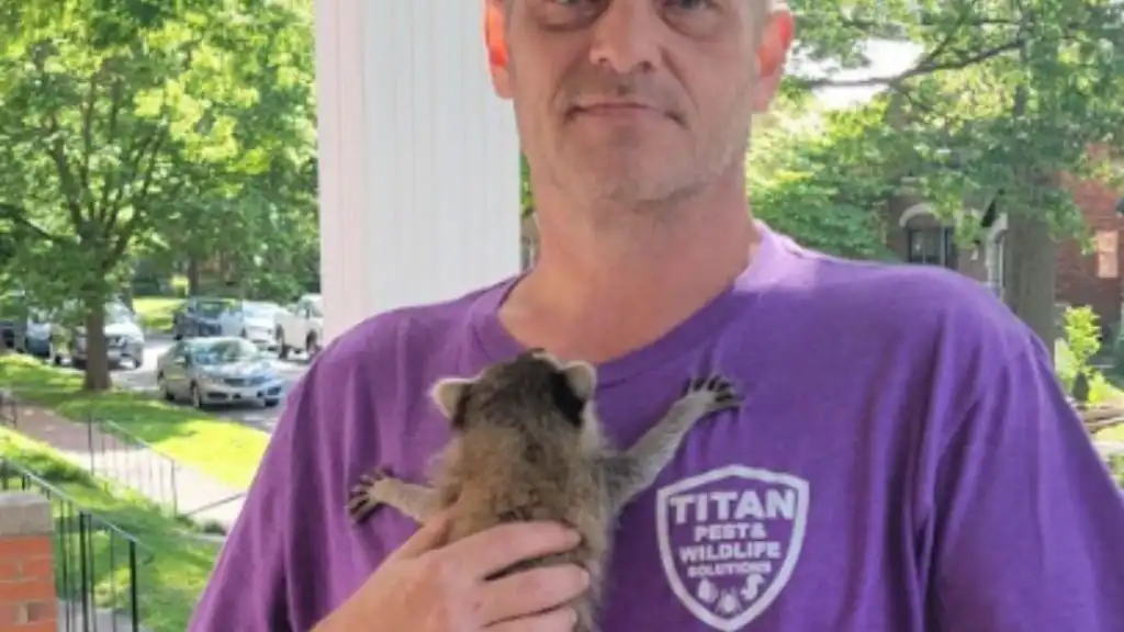 Expert Pest Control in Central West End MO
