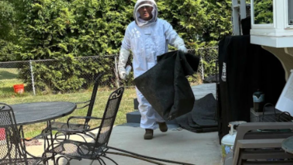 Expert Pest Control in Wildwood MO