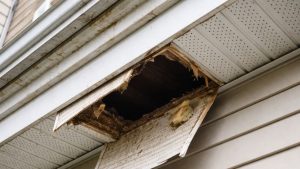 Loose Or Damaged Soffits Loose Or Damaged Soffits