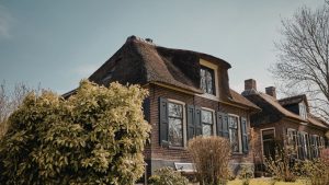 Overgrown vegetation touching the house