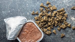 Pet Food Kibble Pet Food Kibble