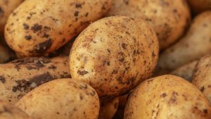 Raw Potatoes